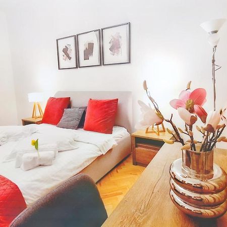 Spacious 5* Luxury In Historic Center Free Parking Cluj-Napoca Exteriör bild