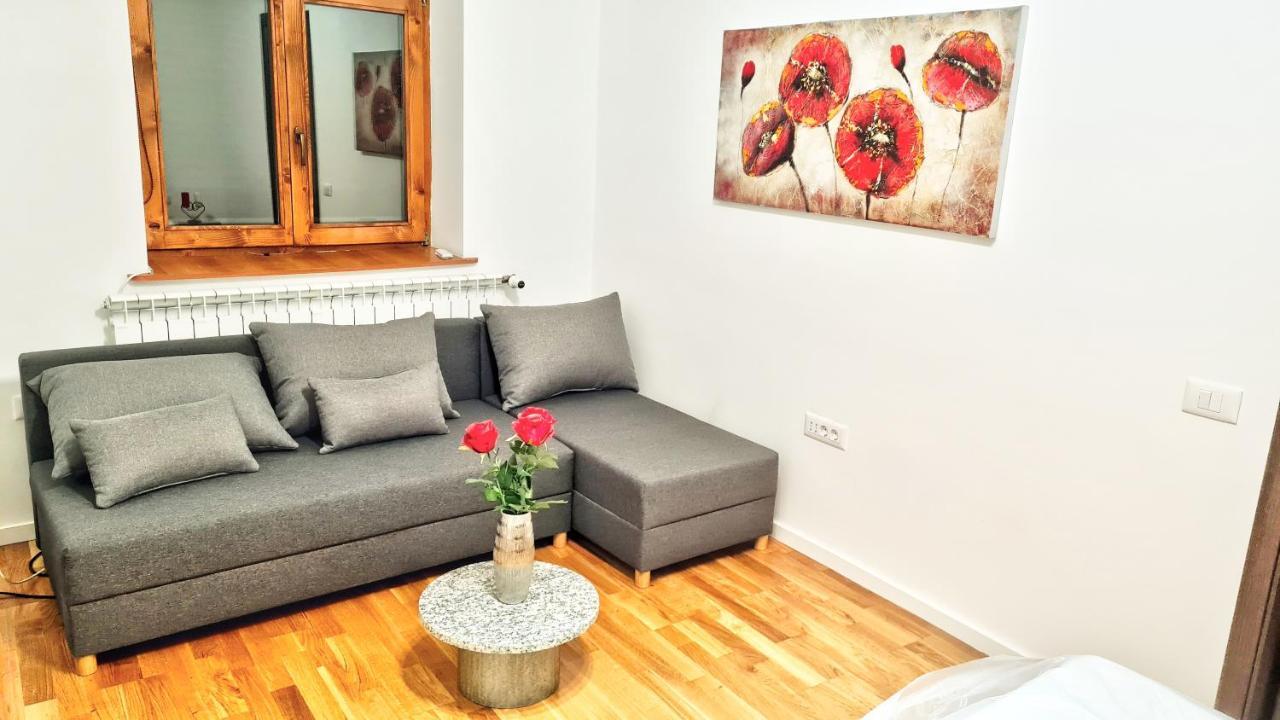 Spacious 5* Luxury In Historic Center Free Parking Cluj-Napoca Exteriör bild